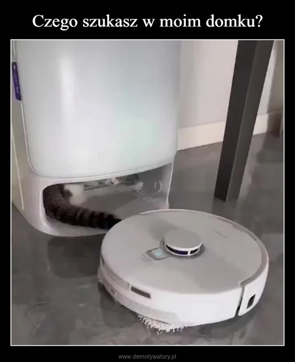 
    Czego szukasz w moim domku?