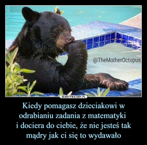 
    Kiedy pomagasz dzieciakowi w odrabianiu zadania z matematyki i dociera do ciebie, że nie jesteś tak mądry jak ci się to wydawało