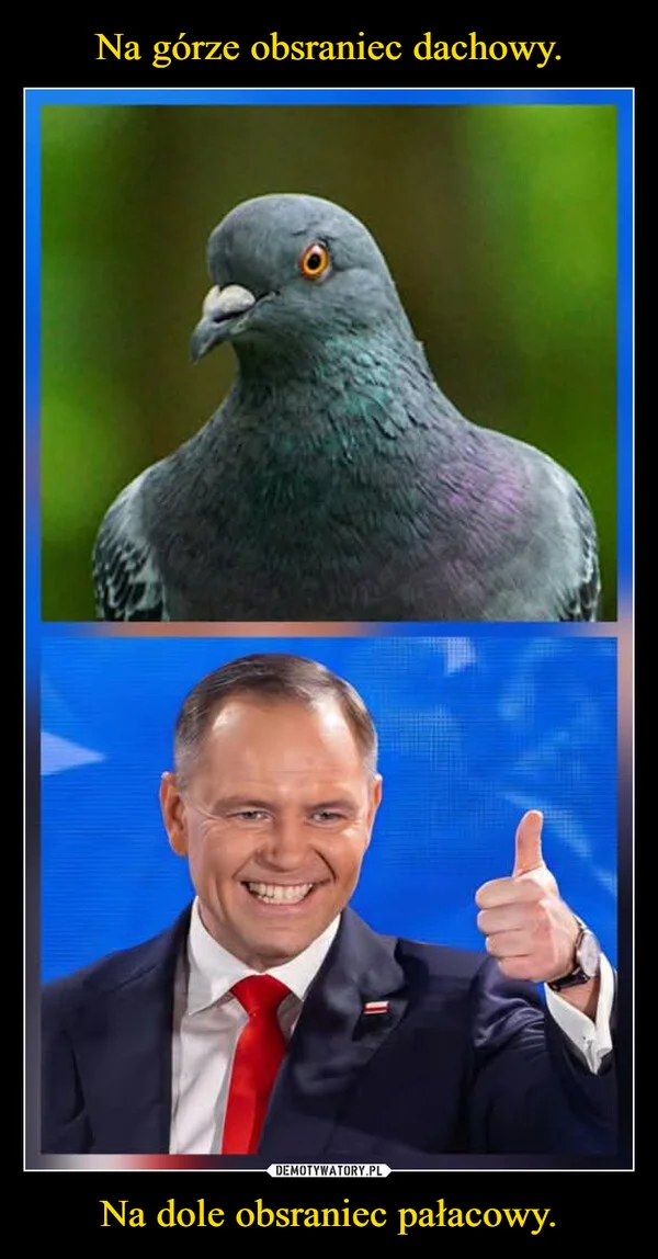 
    Na górze obsraniec dachowy. Na dole obsraniec pałacowy.