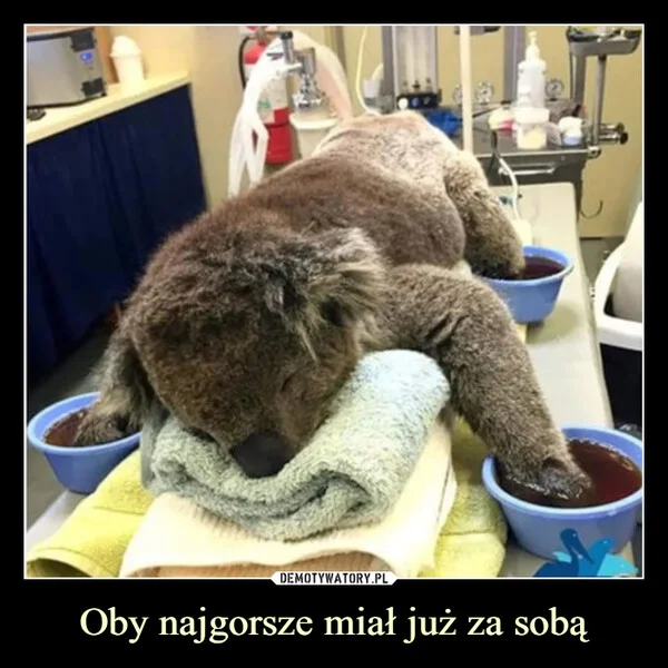 
    Oby najgorsze miał już za sobą