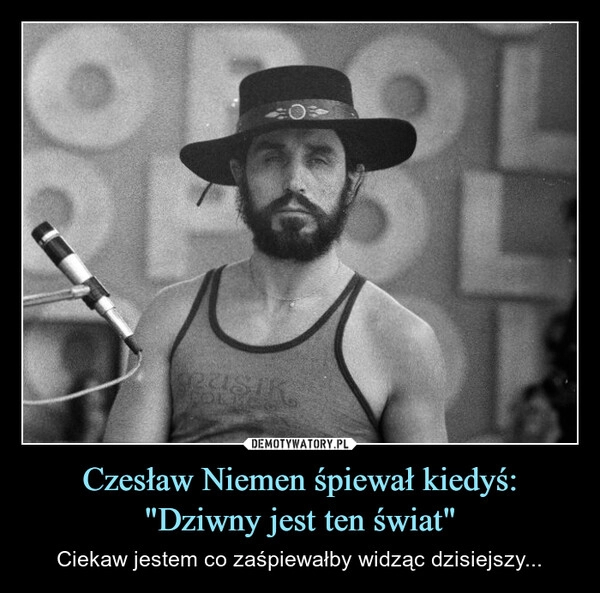 
    Czesław Niemen śpiewał kiedyś:
"Dziwny jest ten świat"