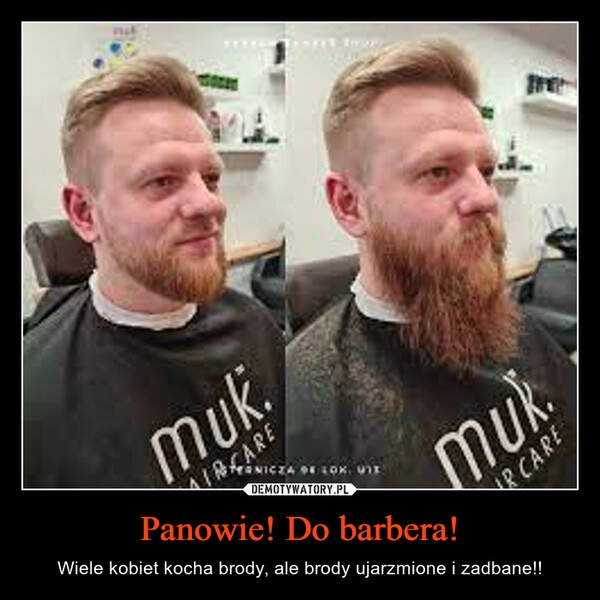 
    Panowie! Do barbera!