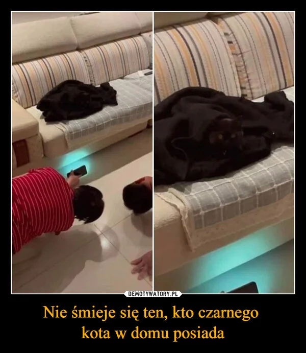
    Nie śmieje się ten, kto czarnego kota w domu posiada