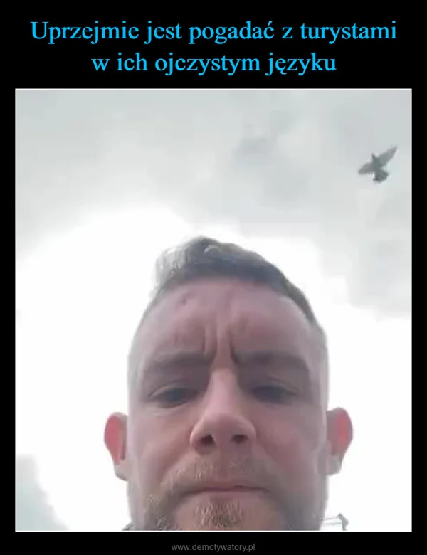 
    Uprzejmie jest pogadać z turystami w ich ojczystym języku