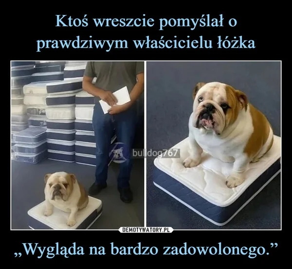 
    Ktoś wreszcie pomyślał o prawdziwym właścicielu łóżka „Wygląda na bardzo zadowolonego.”