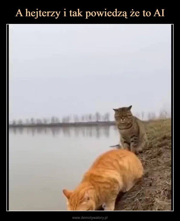 
    A hejterzy i tak powiedzą że to AI