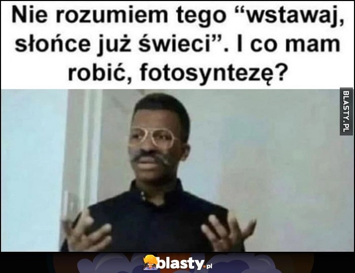 
    Nie rozumiem tego, wstawaj słońce już świeci. I co mam robić, fotosyntezę?