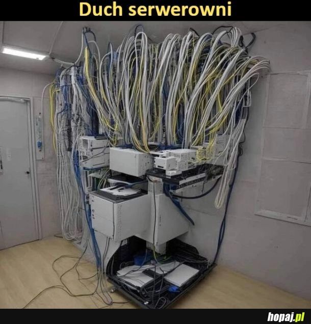 
    Duch serwerowni