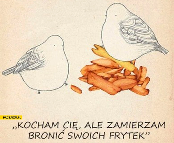 
    Kocham Cię ale zamierzam bronić swoich frytek ptaki