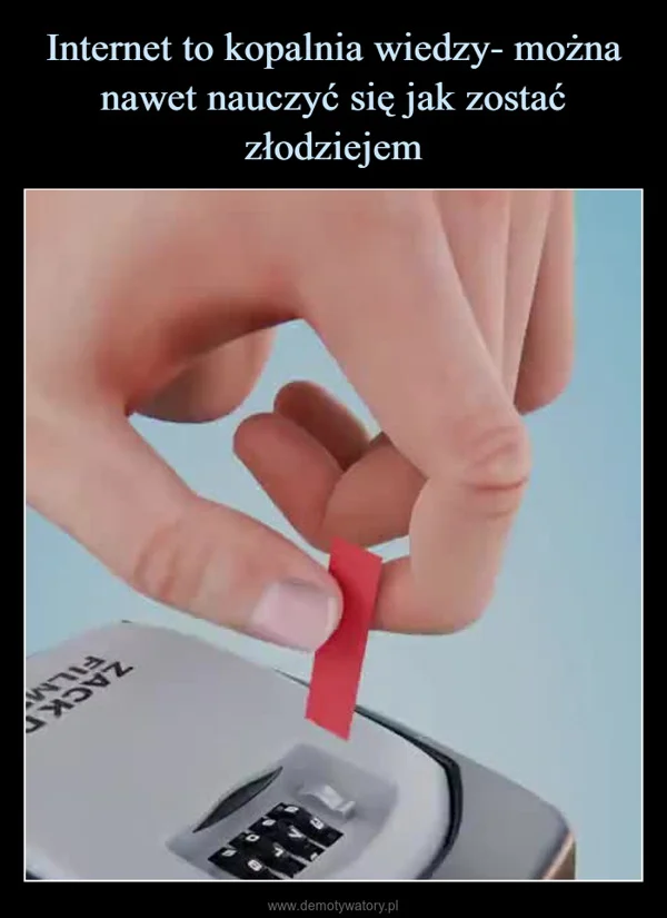 Internet to kopalnia wiedzy- można nawet nauczyć się jak zostać złodziejem
