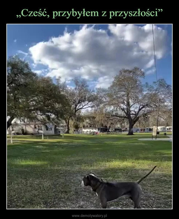 
    „Cześć, przybyłem z przyszłości”