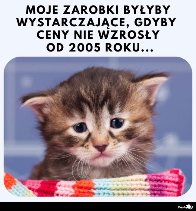 
    To by było życie 