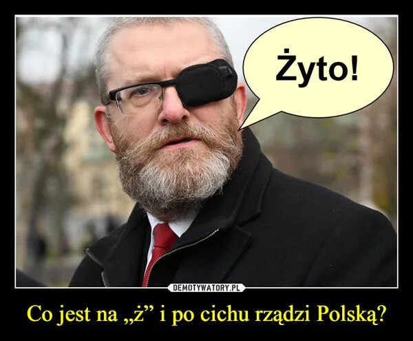 
    Co jest na „ż” i po cichu rządzi Polską?