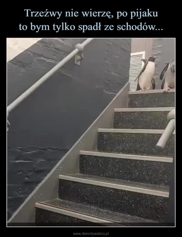 
    Trzeźwy nie wierzę, po pijaku to bym tylko spadł ze schodów...