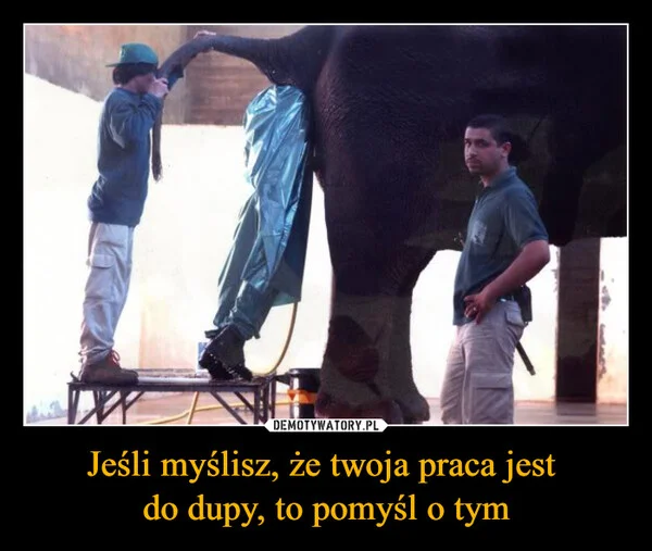 
    Jeśli myślisz, że twoja praca jest do dupy, to pomyśl o tym
