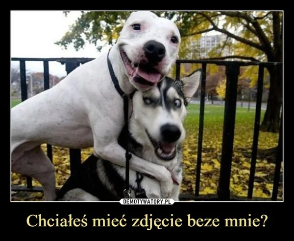 
    Chciałeś mieć zdjęcie beze mnie?