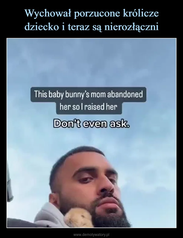 
    Wychował porzucone królicze dziecko i teraz są nierozłączni