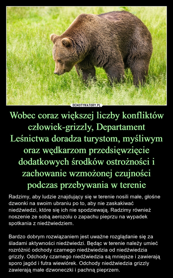 
    Wobec coraz większej liczby konfliktów człowiek-grizzly, Departament Leśnictwa doradza turystom, myśliwym oraz wędkarzom przedsięwzięcie dodatkowych środków ostrożności i zachowanie wzmożonej czujności podczas przebywania w terenie