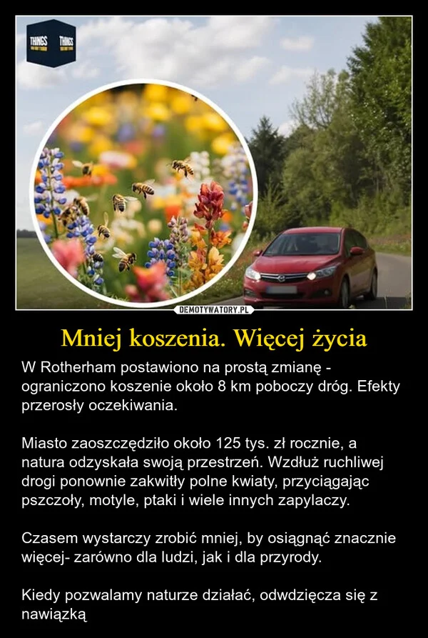 
    Mniej koszenia. Więcej życia