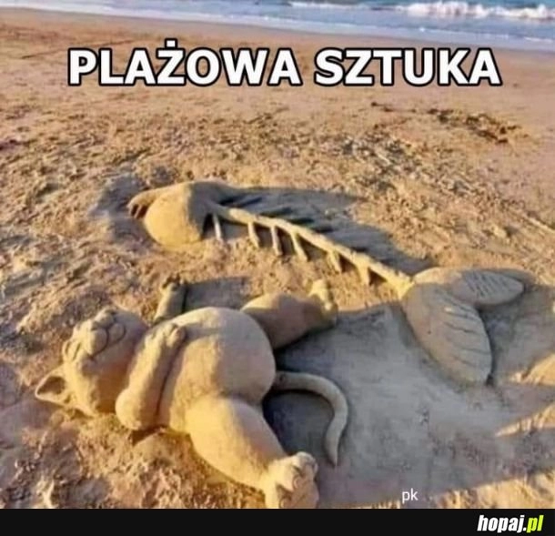 
    Plaża