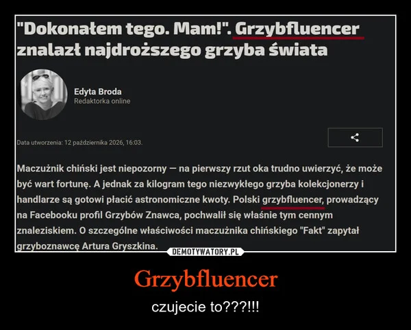 
    Grzybfluencer
