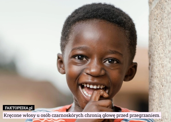 
    Kręcone włosy u osób czarnoskórych chronią głowę przed przegrzaniem.