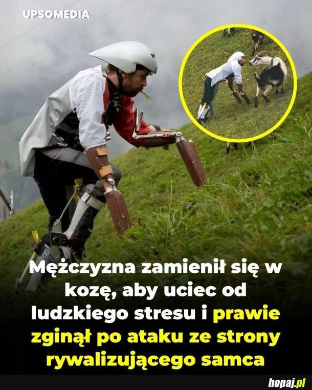 Porzucił ludzkie problemy dla tych zwierzęcych XD
