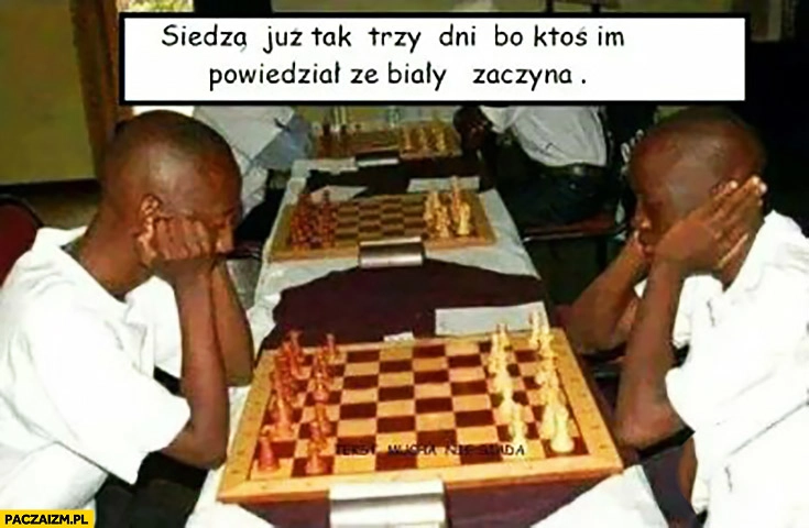 
    Siedzą tak trzy dni bo ktoś im powiedział, że biały zaczyna. Murzyni grają w szachy