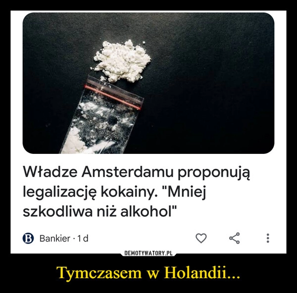 
    Tymczasem w Holandii...