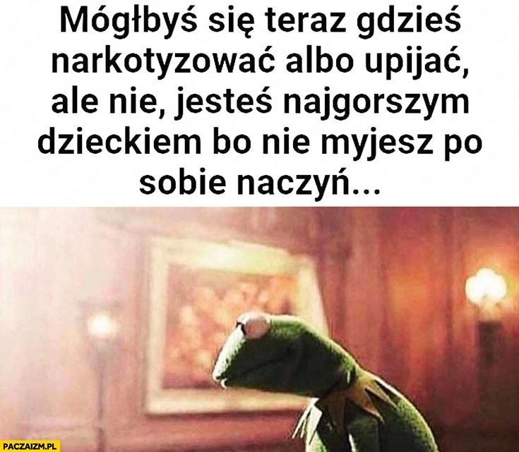 
    Kermit mógłbyś się teraz gdzieś narkotyzować albo upijać, ale nie, jesteś najgorszym dzieckiem bo nie myjesz po sobie naczyń