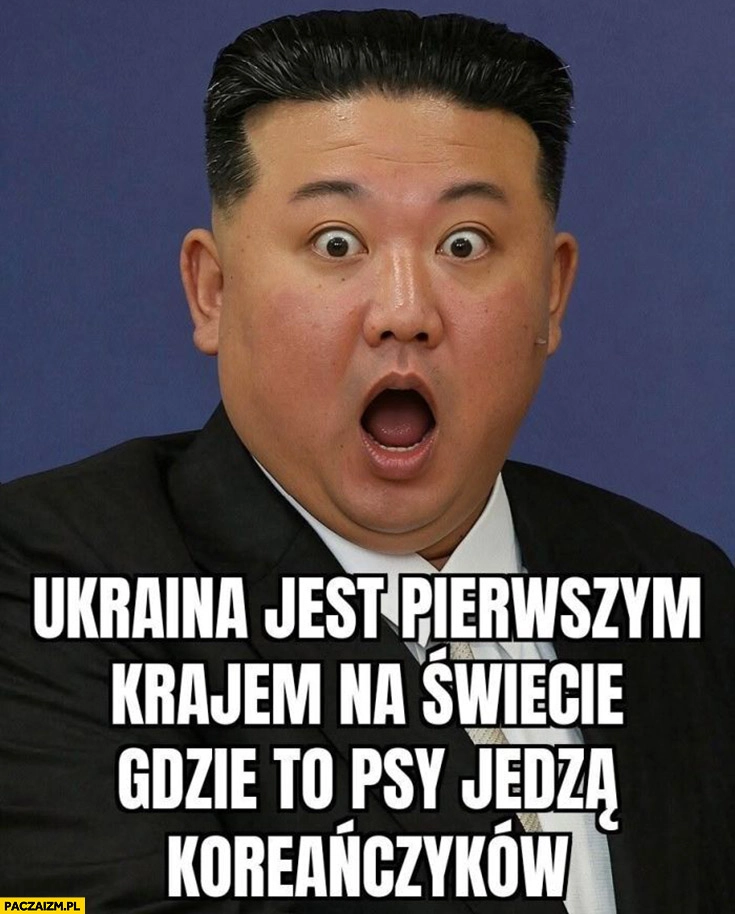 
    Kim Jong Un Ukraina jest pierwszym krajem na świecie gdzie to psy jedzą Koreańczyków