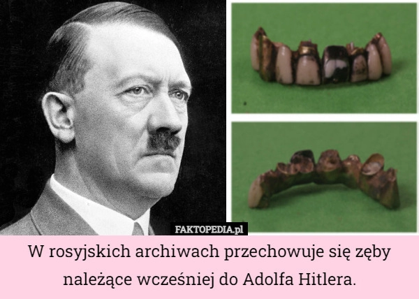 
    
			W rosyjskich archiwach przechowuje się zęby należące wcześniej do Adolfa...					