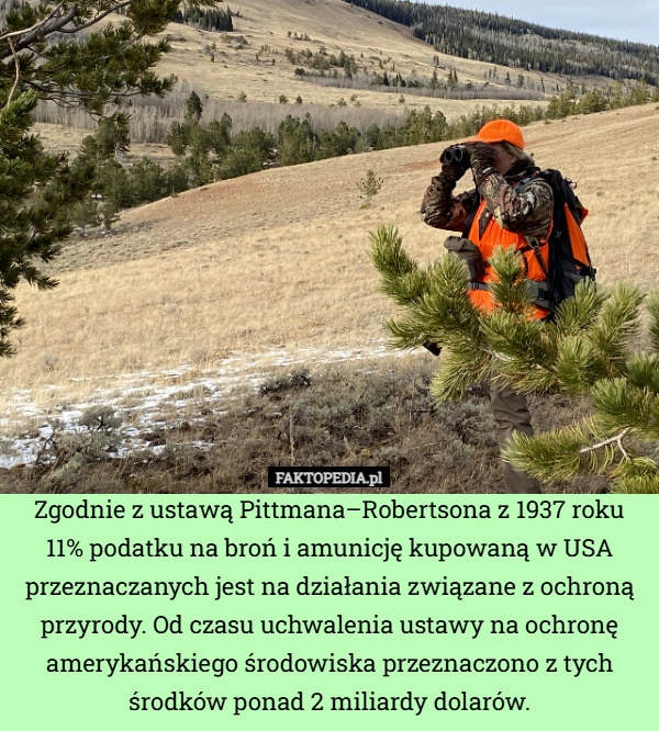 
    Zgodnie z ustawą Pittmana–Robertsona z 1937 roku 11% podatku na broń i amunicję