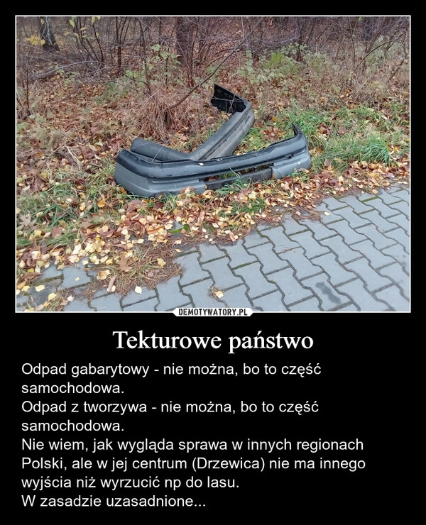 
    Tekturowe państwo