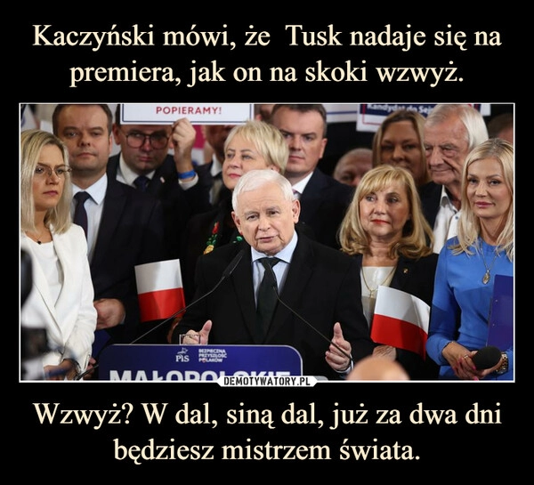 
    Kaczyński mówi, że  Tusk nadaje się na premiera, jak on na skoki wzwyż. Wzwyż? W dal, siną dal, już za dwa dni będziesz mistrzem świata.