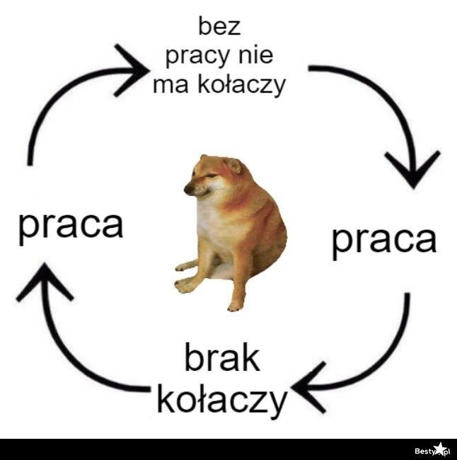 
    Bez pracy nie ma kołaczy 