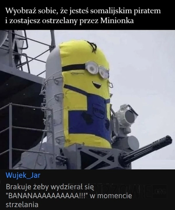 
    Minionek