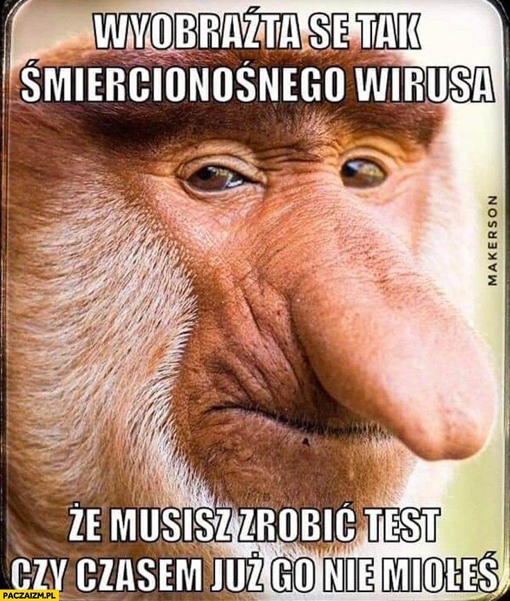 
    Wyobraźta se tak śmiercionośnego wirusa, że musisz zrobić test czy czasem już go nie miałeś Polak nosacz