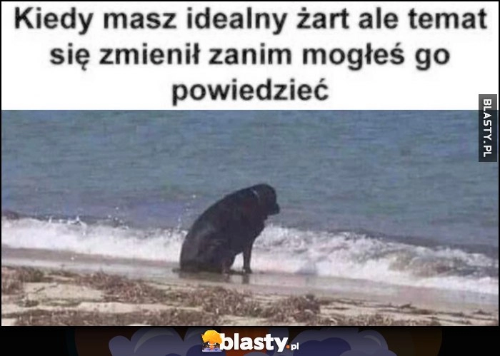 
    Kiedy masz idealny żart ale temat się zmienił zanim mogłeś go powiedzieć smutny pies patrzy w morze ocean