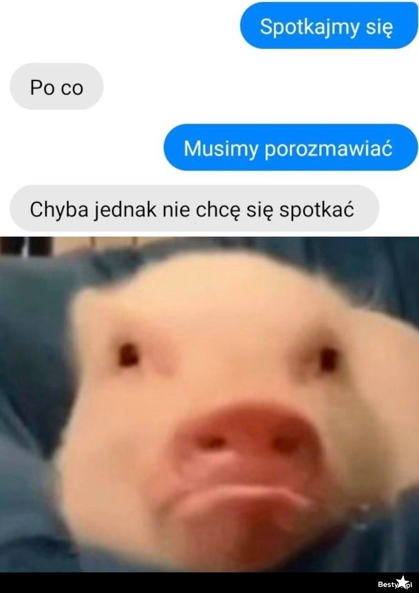 
    Spotkanie 