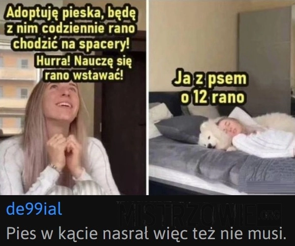 
    Śpiochy