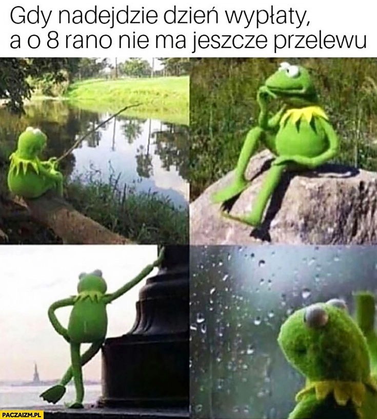 
    Gdy nadejdzie dzień wypłaty a o 8 rano nie ma jeszcze przelewu Kermit