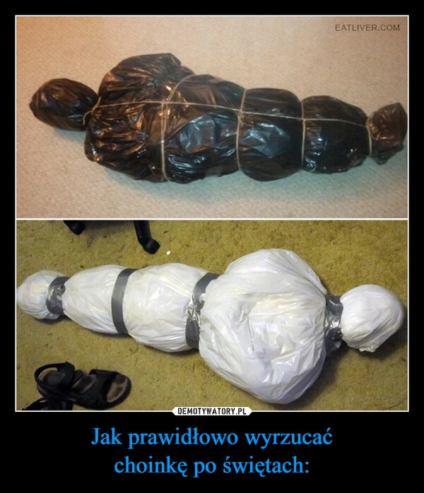 
    Jak prawidłowo wyrzucać
choinkę po świętach: