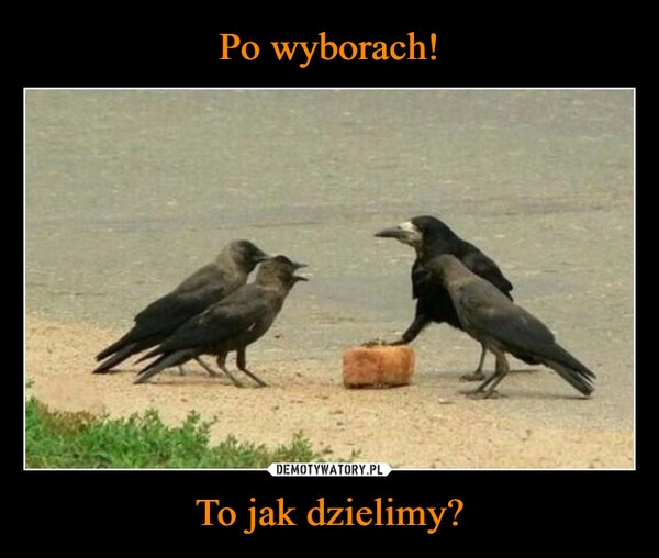 
    Po wyborach! To jak dzielimy?