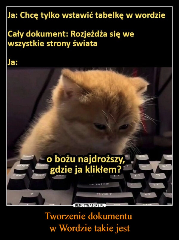 
    Tworzenie dokumentu 
w Wordzie takie jest