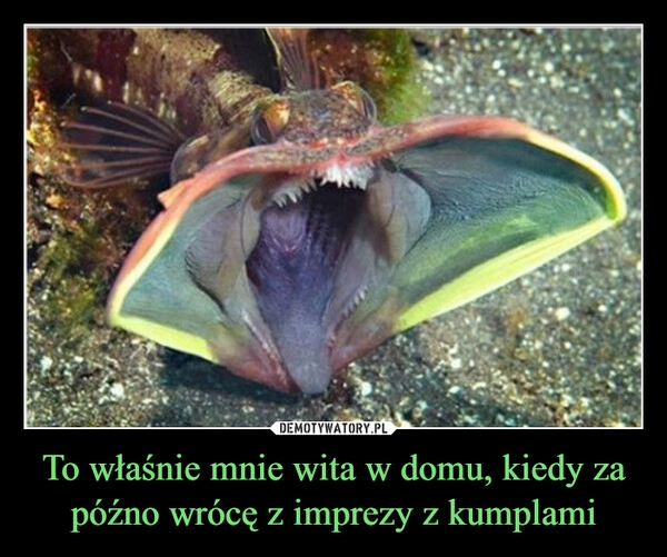 
    To właśnie mnie wita w domu, kiedy za późno wrócę z imprezy z kumplami