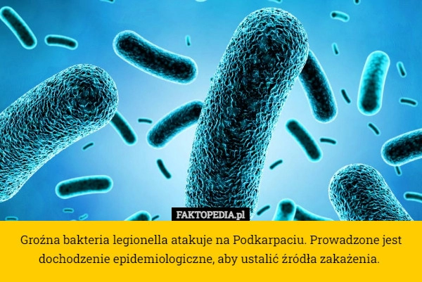 
    Groźna bakteria legionella atakuje na Podkarpaciu. Prowadzone jest dochodzenie