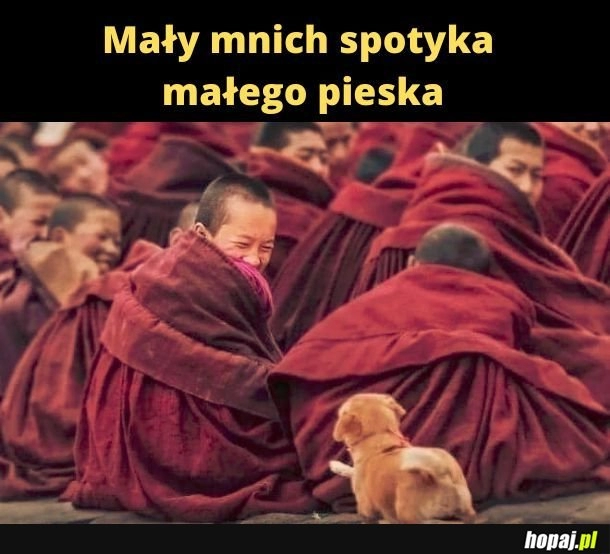 
    Duże szczęście. 