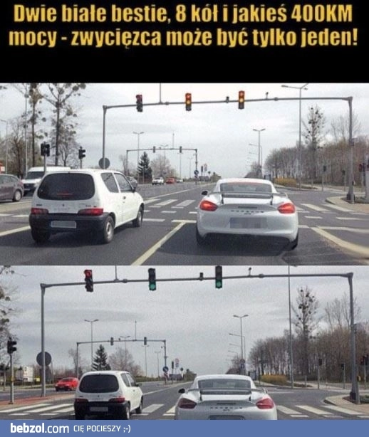 
    Dwie białe bestie