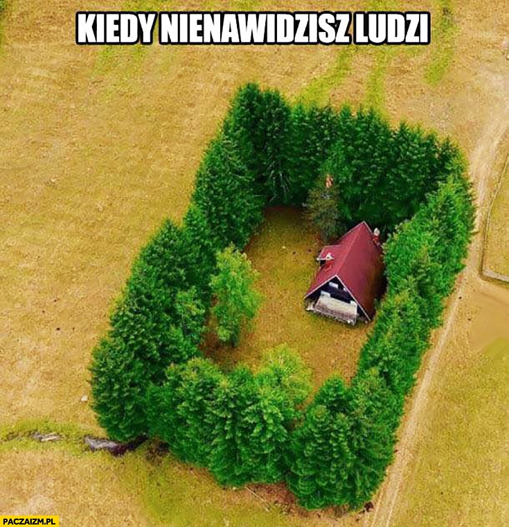 
    Kiedy nienawidzisz ludzi. Działka odgrodzona z każdej strony drzewami